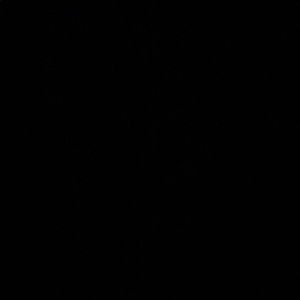 Meet your Posher, Isaac